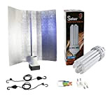 Kit d'éclairage basse consommation 200 W CFL Solux Floration + Réflecteur Pearlpro