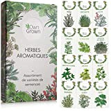 Kit de graines d‘Herbes aromatiques prêt à Pousser OwnGrown, 12 épices et aromates à Planter en Un kit Pratique, Kit ...