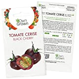 Kit de graines de tomates Black Cherry: Semences de tomates cerises rondes en grappe pour une culture sur le balcon ...