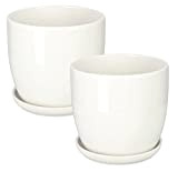 KOTARBAU® Lot de 2 pots de fleurs en céramique avec bac d'égouttement Blanc 13 cm
