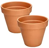 KOTARBAU® Lot de 2 pots de fleurs en terre cuite - 17 cm - Avec bordure - Pour l'intérieur et ...
