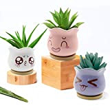 KPUY Pot de Fleur en Céramique avec Plateau en Bambou et Mignons Décor émoticône, Pot de Succulent Jolie Déco pour ...