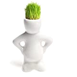 Kungfu Mall Mini-poupée blanche herbe hommes cheveux plantes de jardin pots à bonsaï céramique