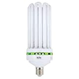 Lampe Fluorescente CFL EnviroGro Warm LUMii® 2700ºK (300W)
