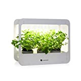 Lampe LED de croissance pour plantes d’intérieur Smartwares – 14 W – Cycle jour/nuit – Bac inclus