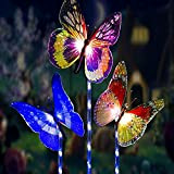 Lampes Solaires de Jardin, [3 pièces]XVZ Solar Papillon Multicolore LED avec panneau solaire plus large - Lumière LED optique fibre ...