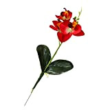 lamta1k Lot de 5 fleurs artificielles Phalaenopsis pour décoration de bureau, mariage, demoiselle d'honneur, bouquets de mariage, centres de table, ...
