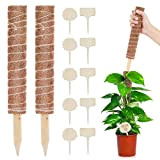 Lemecima 2Pcs Tuteur Coco Plante Grimpante 41cm, Bâton de Coco Tuteur Plante, Poteau de Coco, Tuteur Coco pour Plante Support ...