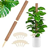 Lemecima 2Pcs Tuteur Coco Plante Grimpante 57cm, Bâton de Coco Tuteur Plante, Poteau de Coco, Tuteur Coco pour Plante Support ...