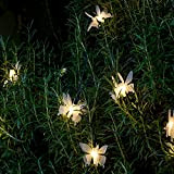 Lights4fun Guirlande Solaire 10 Papillons à LED Blanc Chaud 8 Fonctions d'Eclairage