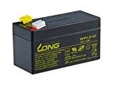 LONG PBLO-12V001,2-F1A Batterie Plomb-Acide F1 (WP1.2-12) 12 V 1,2 Ah