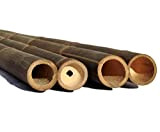 Lot de 1 tube de bambou en bambou Noir/marron 300 cm de diamètre 6 à 8 cm de long de ...