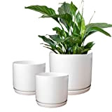 Lot de 3 pots de fleurs ronds en céramique blanc mat avec soucoupes pour intérieur et extérieur (blanc mat)