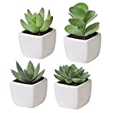 Lot de 4 mini assortis Vert artificielles plantes en pots de fleurs en céramique carré Blanc