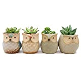 Lot de 4 mini pots de fleurs en céramique avec motif chouette pour plantes succulentes et cactus