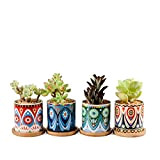 Lot de 4 minis pots en céramique avec plateau en bambou pour plantes grasses et fleurs, pour la décoration de ...