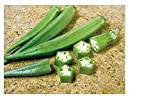lot de 50 graines de Gombo Clemson Spineless fruit jardin potager potage cuisine sauce plante aromatique