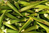 Lot de 50 Graines de Gombo (Okra) Clemson Spineless - plante sans épine - facilite culture et cueillette - un ...