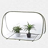 LouisaYork Mini serre de jardin, petite tente de jardinage portable avec couverture en PVC transparent pour jardin extérieur