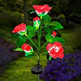 Lumières de Jardin Solaires pour Extérieur, ZVO 1 Piece Lampes Fleurs de Roses Solaires, 6 LED Éclairage de Jardin Décorative ...