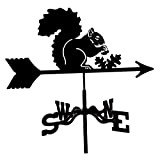 MagiDeal Girouette en métal, girouette de Jardin, Outil de Mesure Professionnel, Support de Toit de Jardin, Utilisation Facile - Écureuil