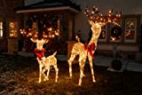 Marco Paul Lot de 2 grands rennes lumineux de Noël 1,8 m pour jardin, maison, décoration festive de luxe, décoration ...