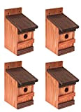 MAZUR International Lot de 4 nichoirs en bois naturel pour mésanges bleues et petites espèces de mésanges - Résistant aux ...