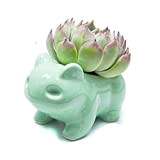 MengCat DIY Pot de Fleurs Cartoon Pots d'art en céramique Mignons Céramique Décorative Vase d'art Vert en Forme d'animal