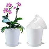 Meshpot Pot à orchidée en plastique transparent avec trous - 10,2 cm - 2 pots intérieurs, 2 pots extérieurs, soucoupe