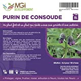 MGI DEVELOPPEMENT Purin de Consoude Made in France - 5 litres - fortifiant écologique