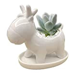 MIDANGGU Petit pot en céramique pour cactus, plantes succulentes, herbes, bureau, rebord de fenêtre, porte-stylo (Faon)