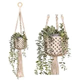 Mika Makrame Plant Hanger QNODI Macrame Hanging Basket, Cotton Rope Hanging Basket. Flower Pot / Planter Hanger for Indoor / ...