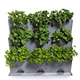 Minigarden Vertical 1 Set pour 9 Plantes, Jardin Vertical Modulaire & Extensible, Autoportant ou Fixé au Mur, Système Innovant de ...