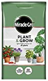 Miracle-Gro Plant & Grow Compost léger pour toutes les plantes 6 l