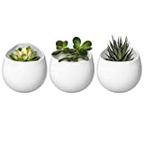 Mkono Lot de 3 pots muraux en céramique à suspendre pour plantes d'intérieur Blanc 10,2 cm