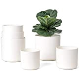 Mkono Lot de 6 pots de fleurs en plastique de 17,8/16,5/14,5/12,7 cm avec drainage pour toutes les plantes d'intérieur, plantes ...