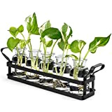 Mkono Terrarium pour plantes avec support en métal, vase rétro en verre, parfait pour la propagation de plantes hydroponiques, coupe ...