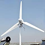 MXXDB Générateur d'énergie Libre d'éolienne 5000W 5KW 220v 3 pales générateur hydroélectrique à Haut rendement (120V, 5000W)