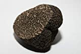 Mycélium de Truffe Noire du Périgord Kit de culture champignons 15ml/50ml (Tube, 15ml)
