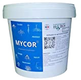 Mycorhizes en poudre Pot de 700g / 2.3L