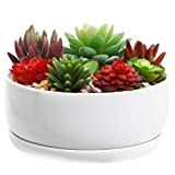 MyGift 15,2 cm moderne Blanc rond en céramique Design pot de fleurs artificielles/Cactus Pot/fleur décorative support Bol
