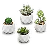 MyGift Lot de 4 plantes succulentes réalistes assorties dans des pots modernes en céramique géométrique