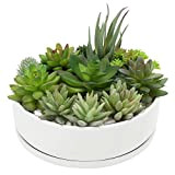 MyGift Pot de fleurs cylindrique en céramique blanche de 20,3 cm avec trou de drainage et plateau amovible, petit pot ...