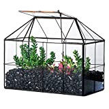 NCYP Jardinière de Terrarium géométrique Noir de 24,9cm de Long - en Forme de Grille Décoration en Verre pour Plantes ...