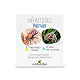 Nématode Papillon du Palmier (25 miilions pour 1 à 3 Palmiers)
