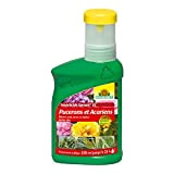 Neudorff Pucerons et Acariens Insecticide Spruzit concentré - 250 ml - Sur plantes ornementales et florales