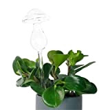 Nicoone Arroseur automatique pour plantes en verre en forme de champignon avec piquets d'arrosage automatique pour plantes d'intérieur et d'extérieur