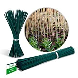 Novatool Lot de 200 bâtons de gravier - 25 cm x 3 mm - Vert - Tuteur en bambou - ...