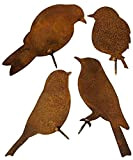 Oiseaux pour Arbre - Décoration de Jardin en métal - Patine Rouille Naturelle