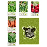 Organic Way | Ensemble de graines de légumes biologiques - Bountiful Harvest 2 | Idee cadeau | 5 variétés de ...